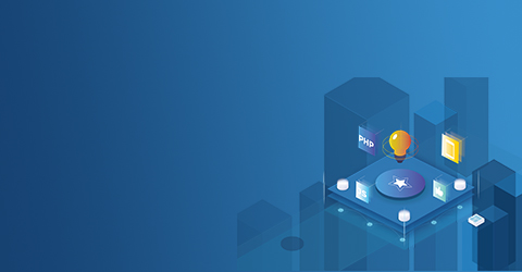 大型網站群建設