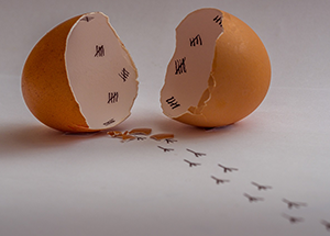 關于清理備案空殼網(wǎng)站的通知