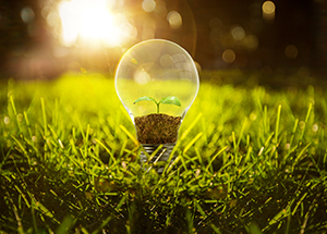 節(jié)能環(huán)保網站建設方案