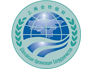 助力上合峰會(huì)，迅優(yōu)傳媒推出全新多國語言網(wǎng)站版本 Img403029956