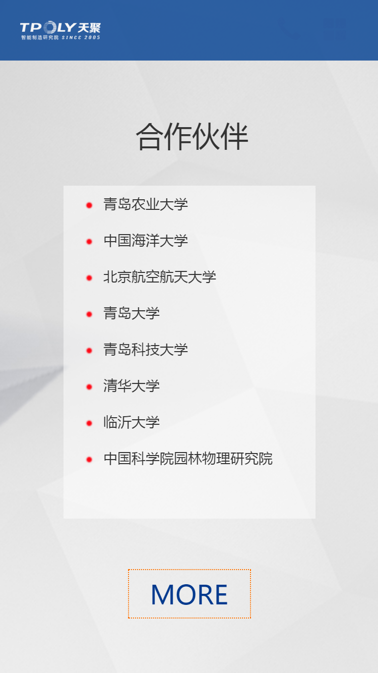 天聚電子手機站設(shè)計